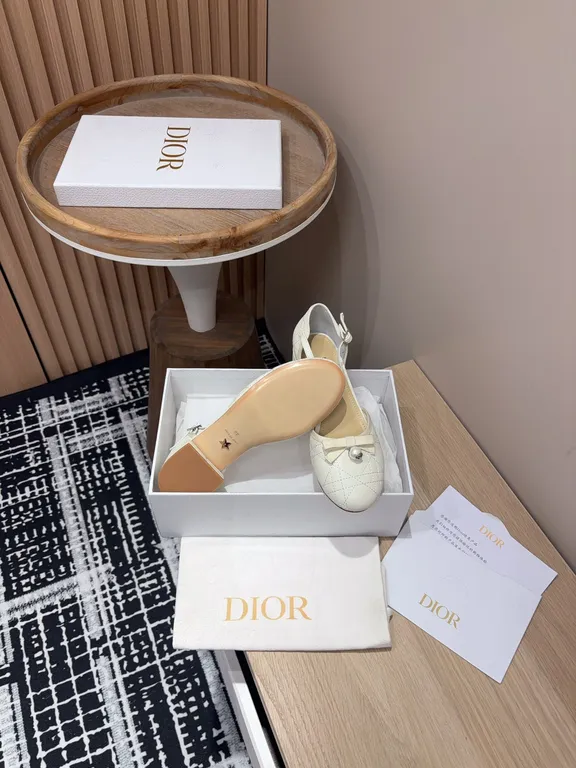 Dior Shoe 